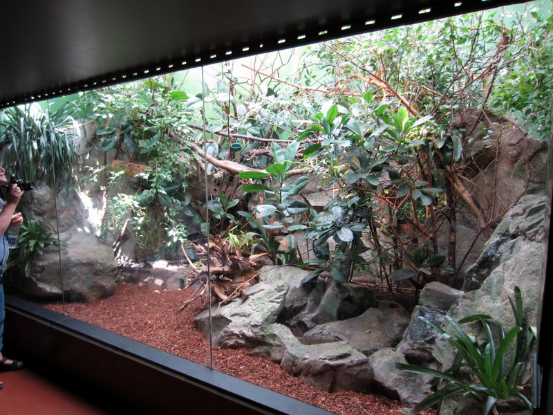 CPH-ZOO 051.jpg