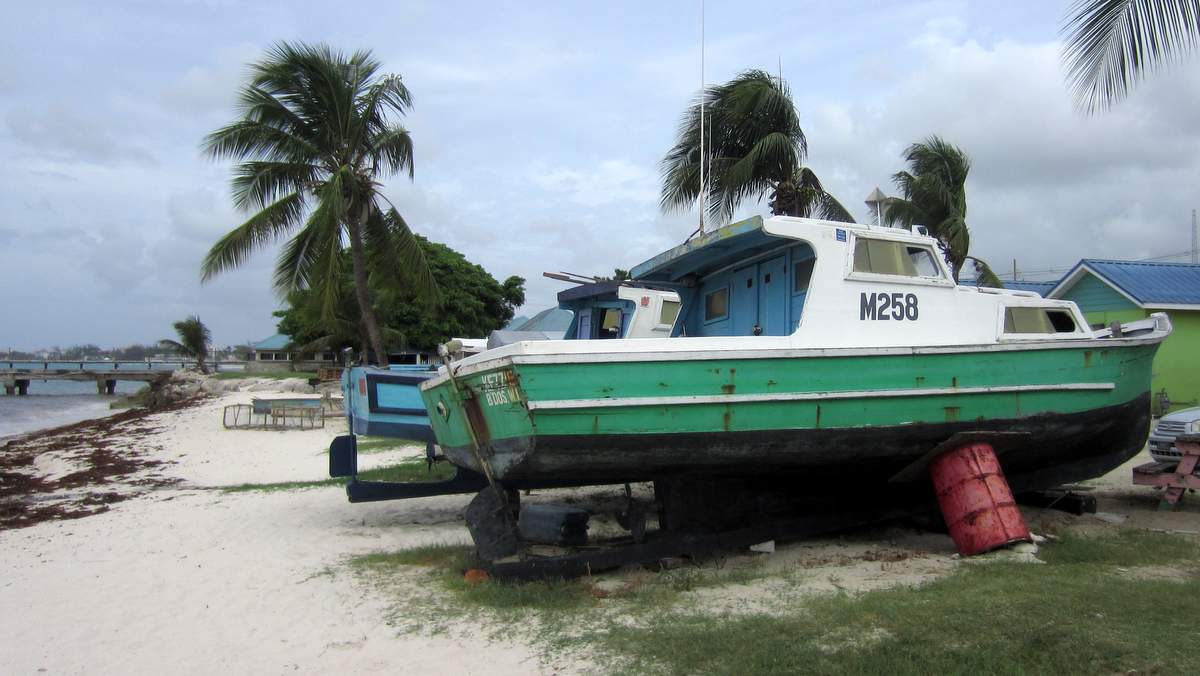 BAR 2050.JPG