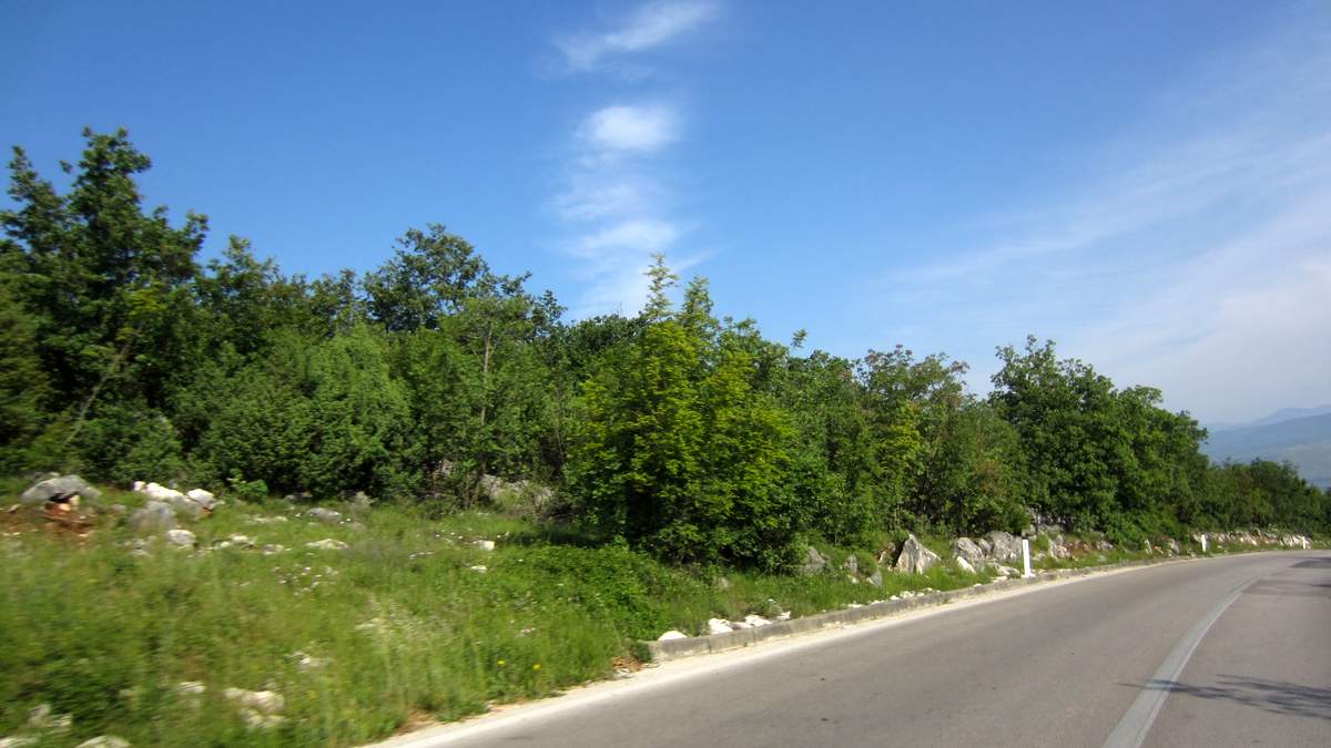 B&H 127.JPG