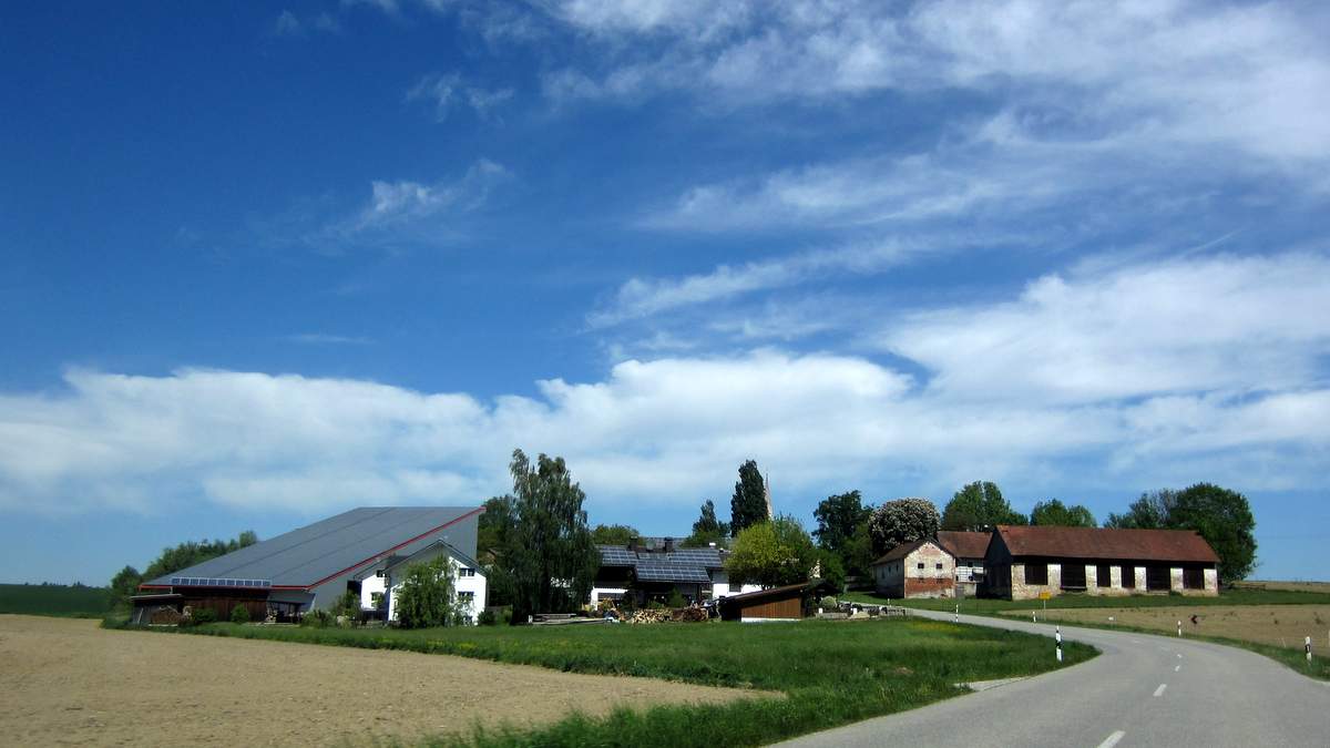 GER 1536.JPG