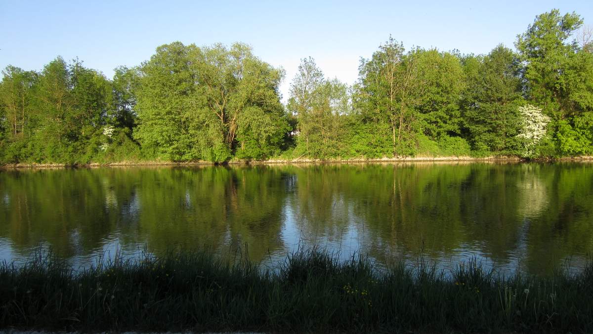 Plapp 001.JPG