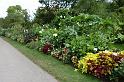 Gothenburg Botanical Garden 004